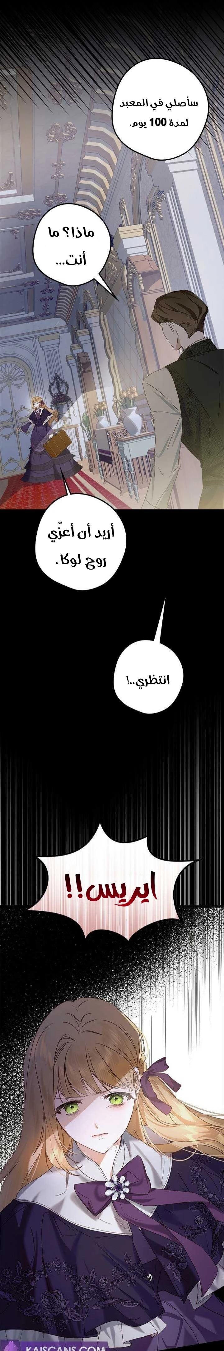 الصفحة 13