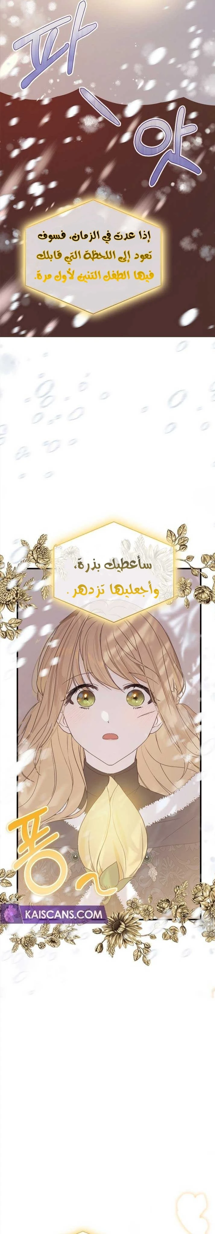 الصفحة 22