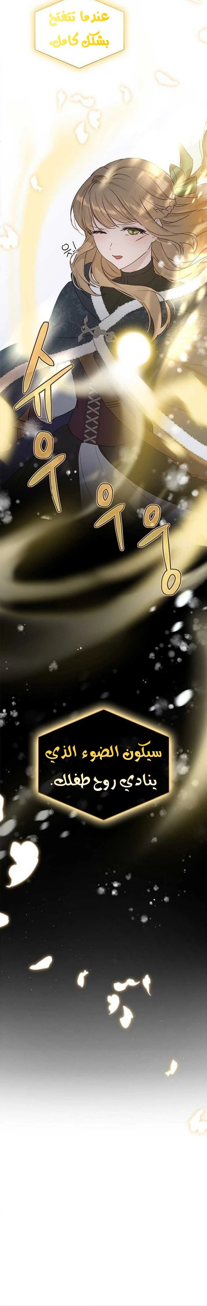الصفحة 23
