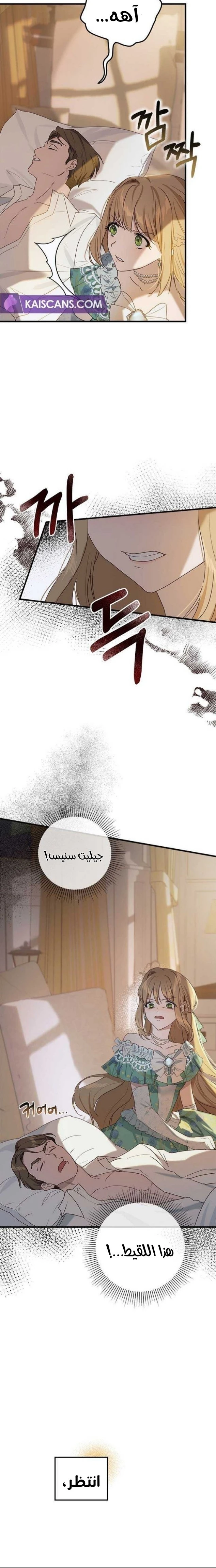الصفحة 25
