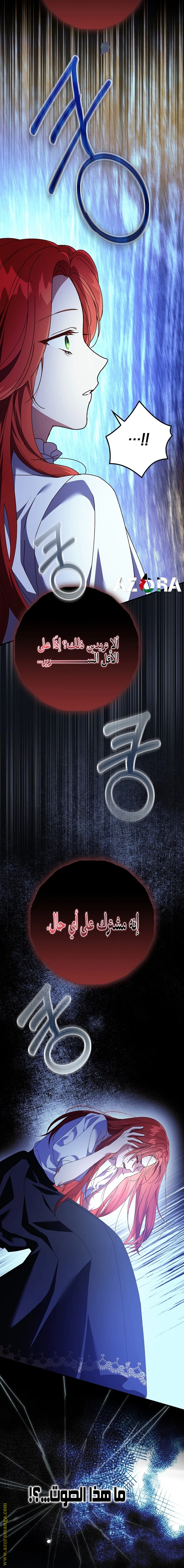 الصفحة 19