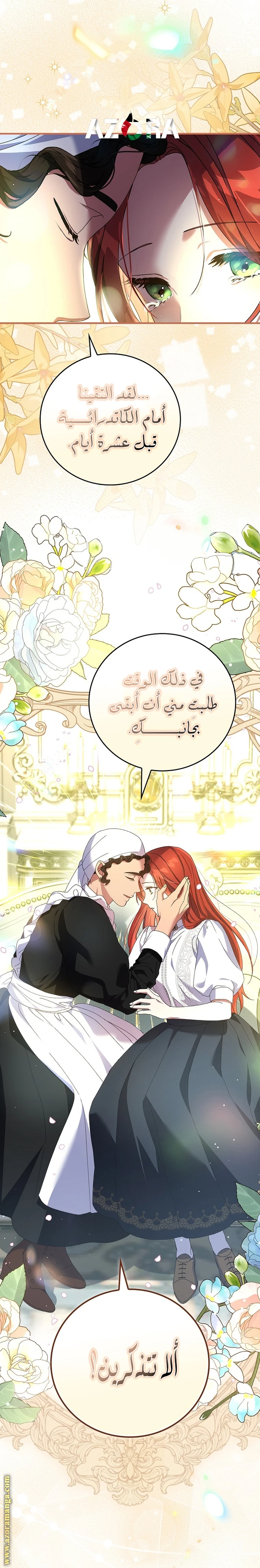 الصفحة 26