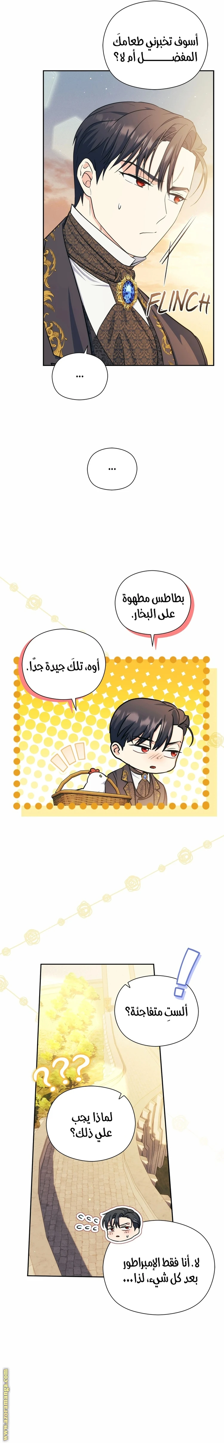 الصفحة 11