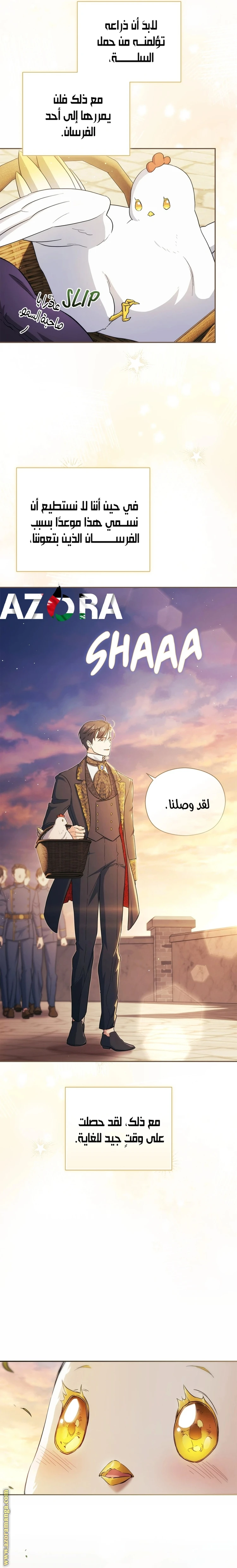 الصفحة 15