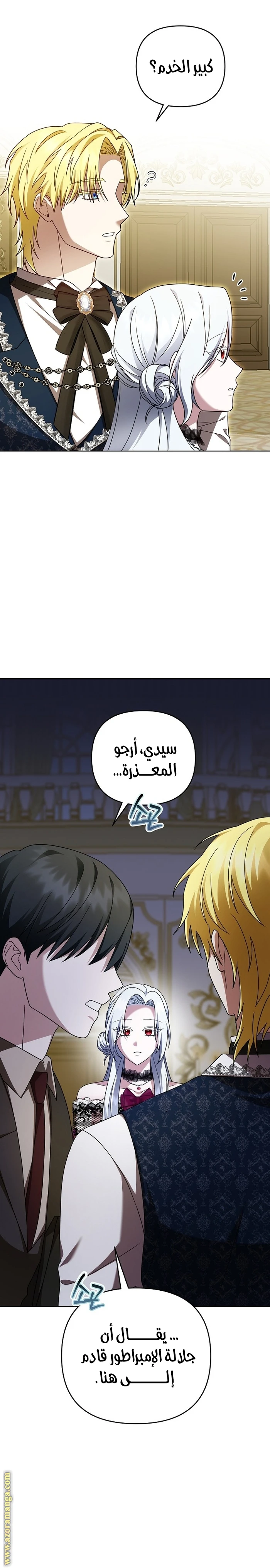 الصفحة 17