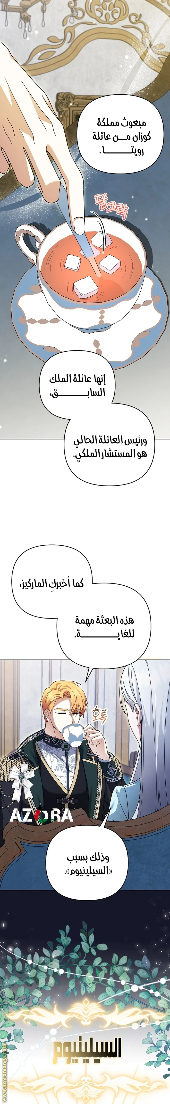 الصفحة 25