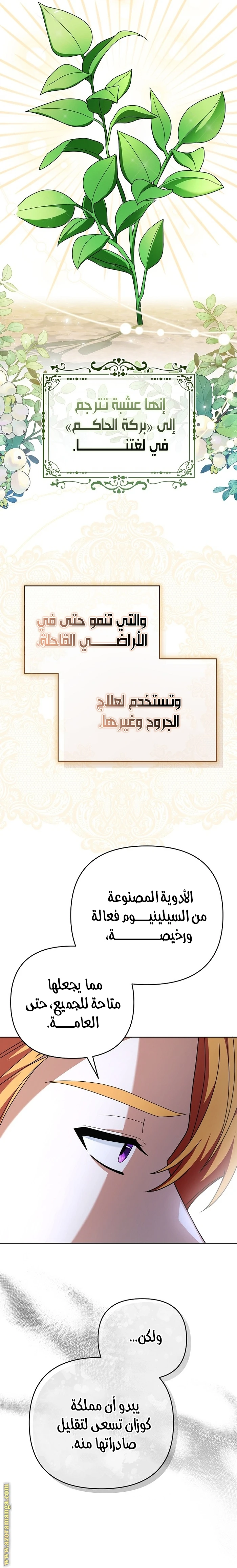 الصفحة 26
