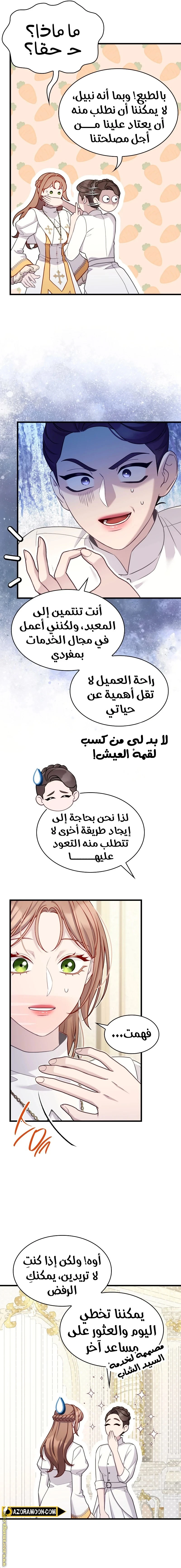 الصفحة 13