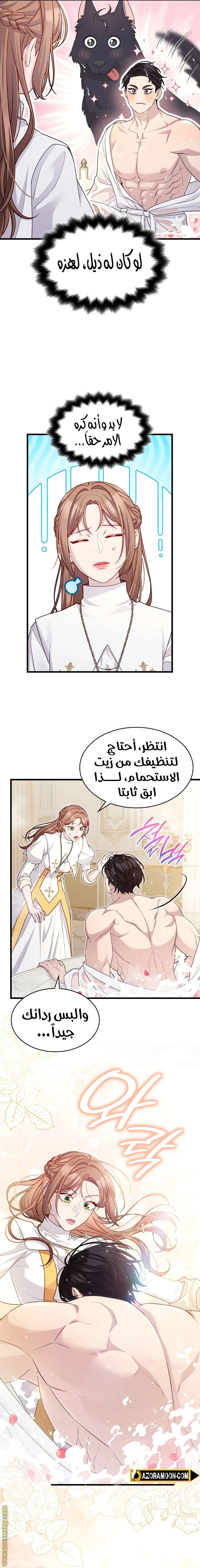 الصفحة 17