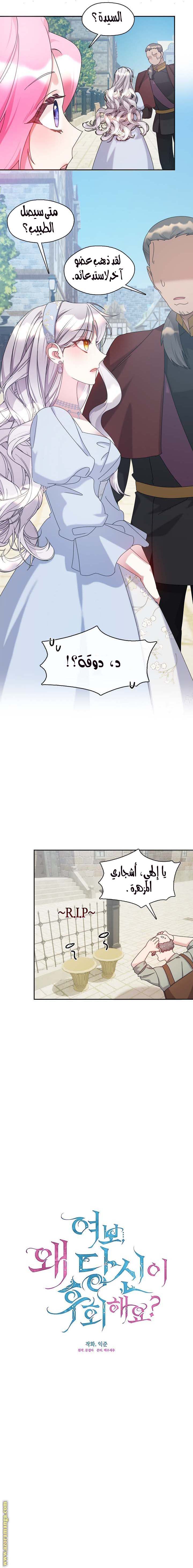 الصفحة 12
