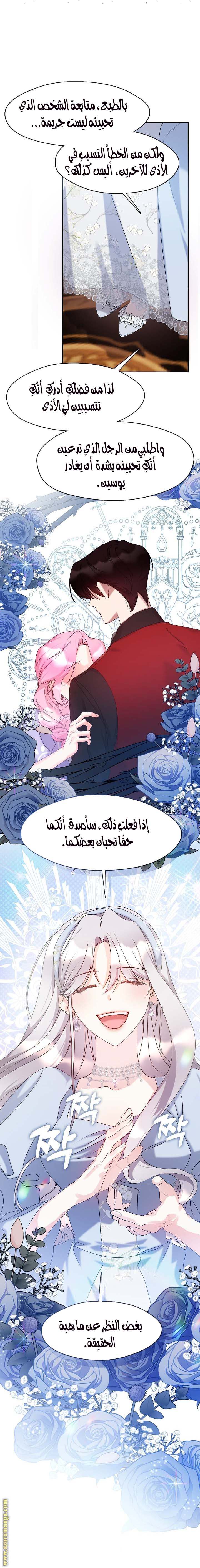 الصفحة 17