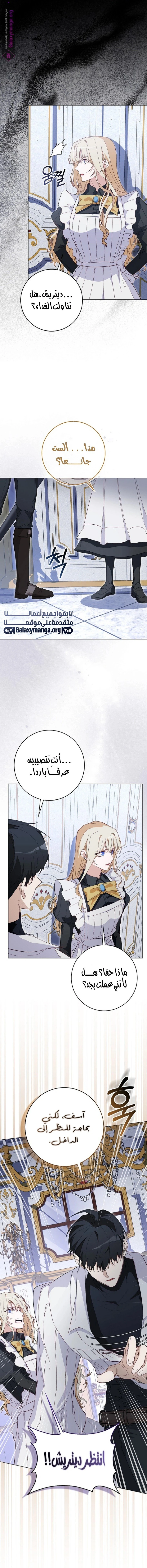 الصفحة 13