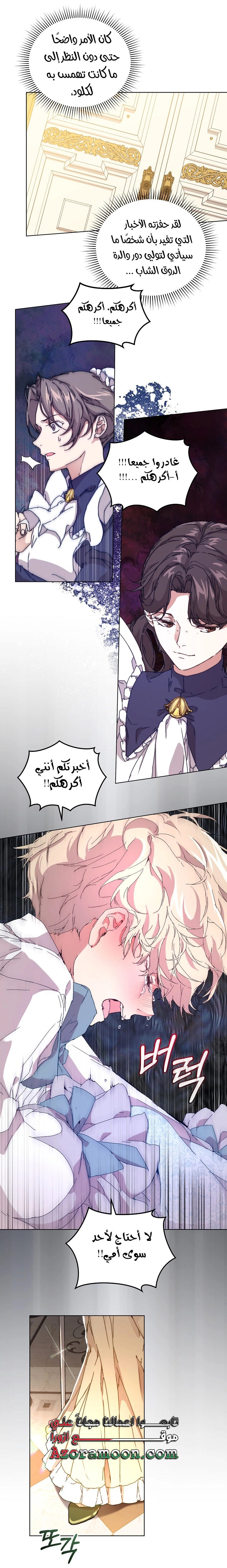 الصفحة 17