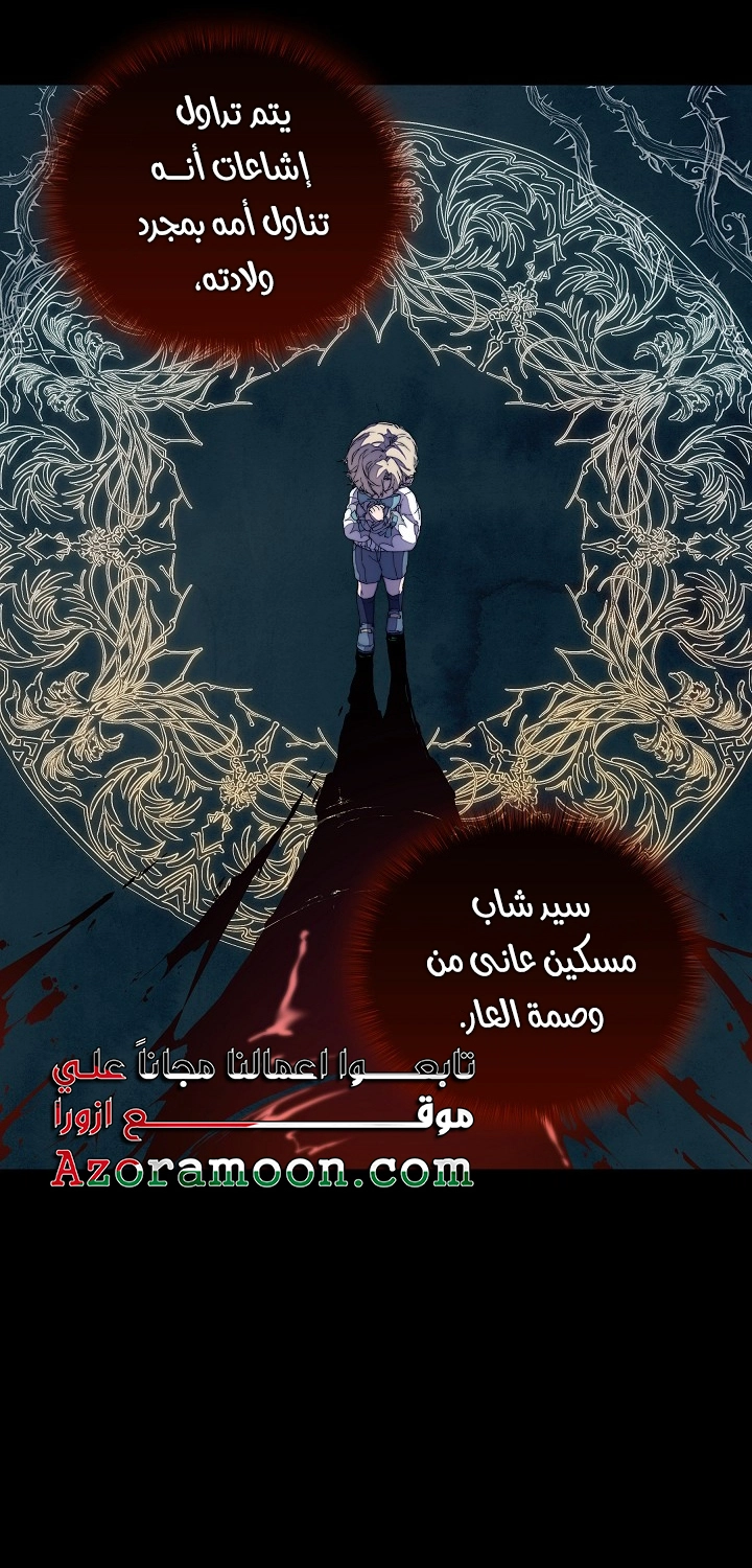 الصفحة 27