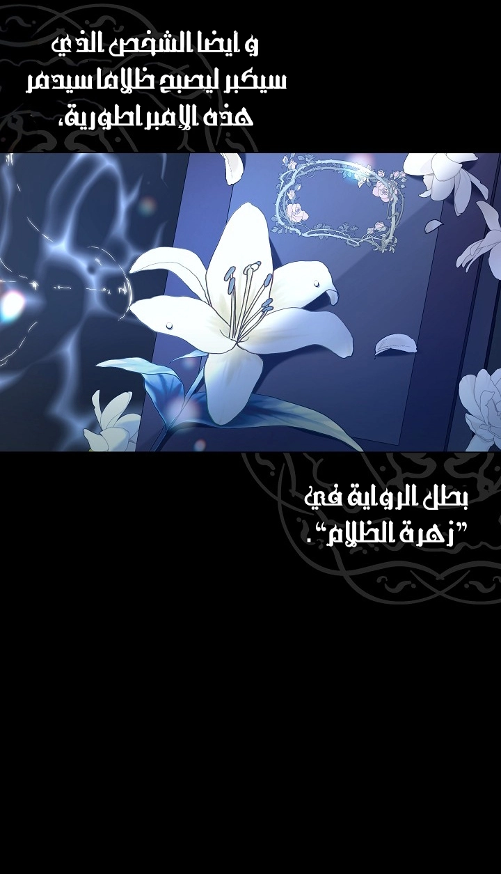 الصفحة 28