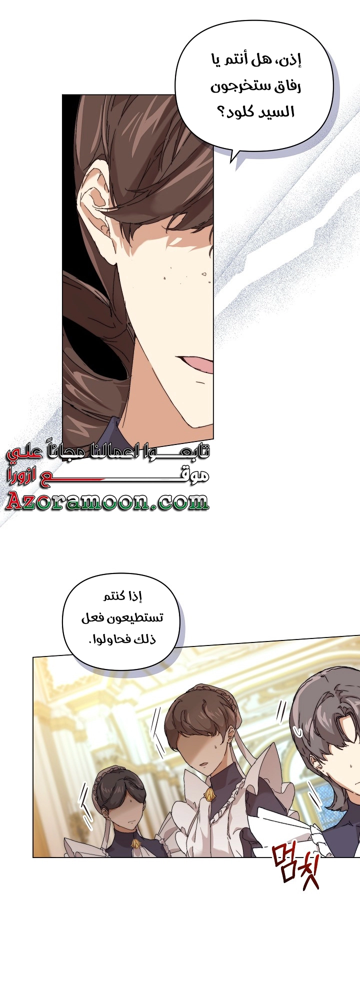 الصفحة 41