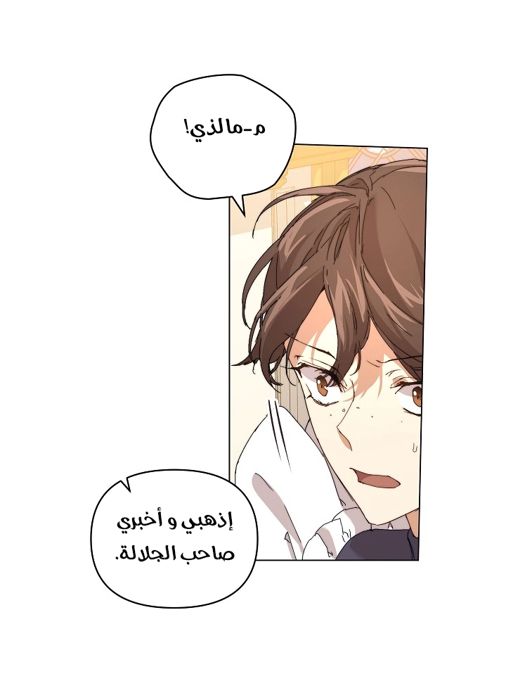 الصفحة 45