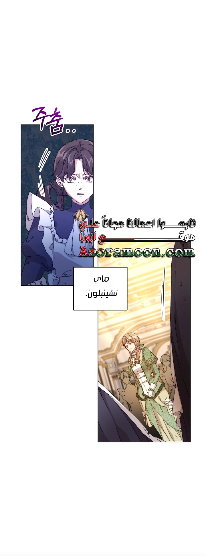 الصفحة 47