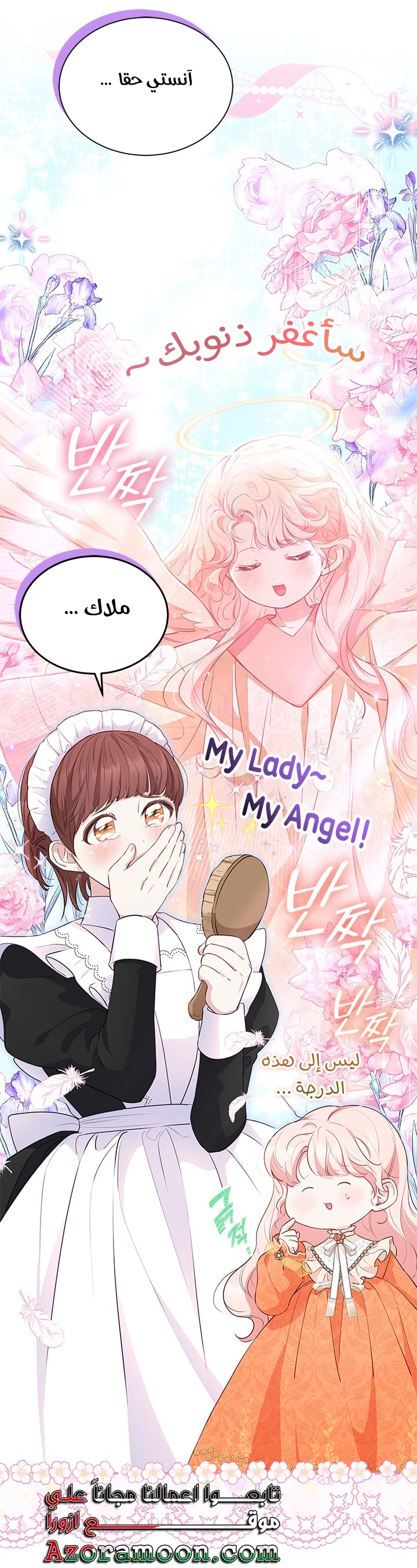 الصفحة 17