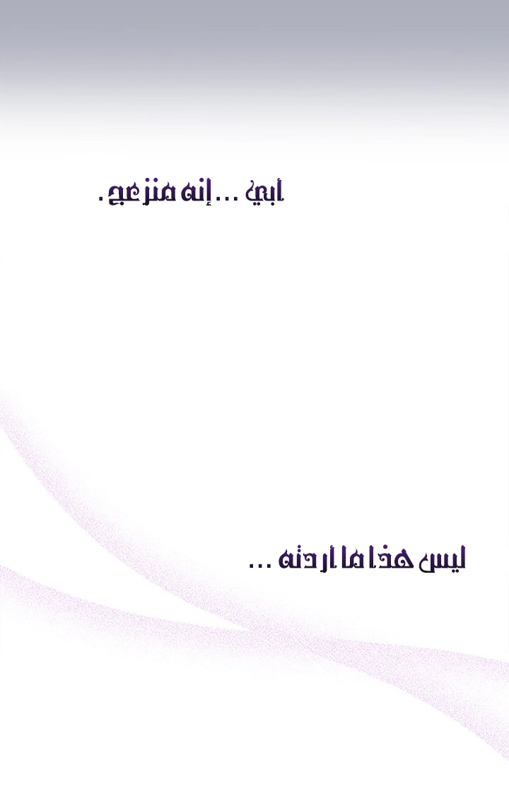 الصفحة 29