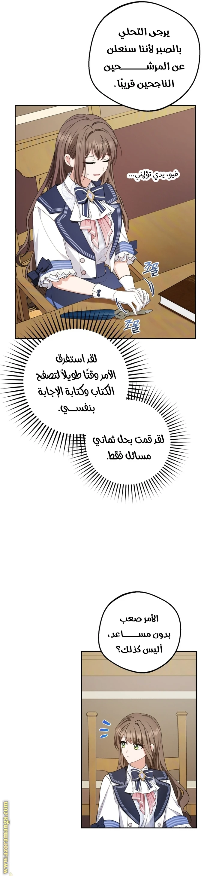 الصفحة 29