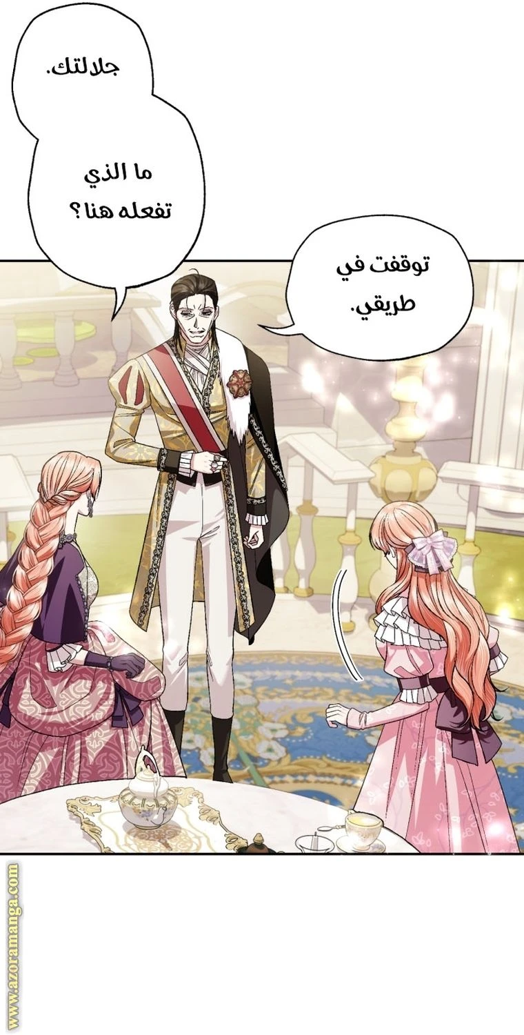 الصفحة 25