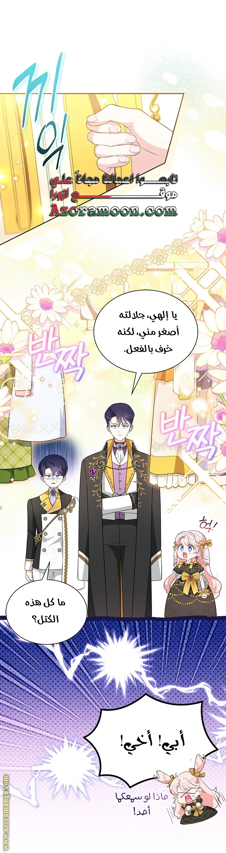 الصفحة 17