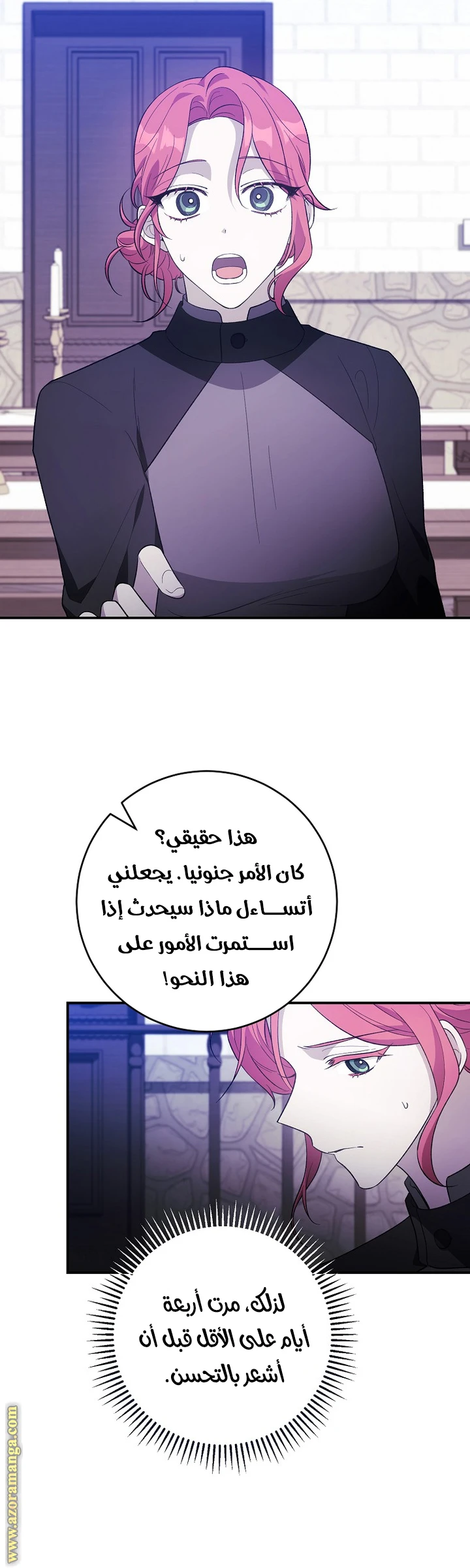 الصفحة 25