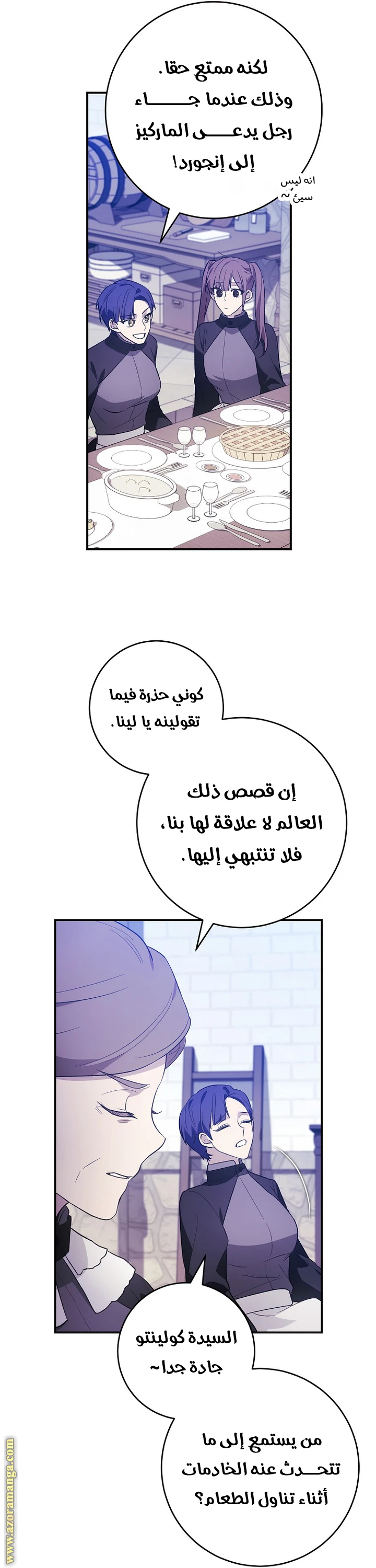 الصفحة 27