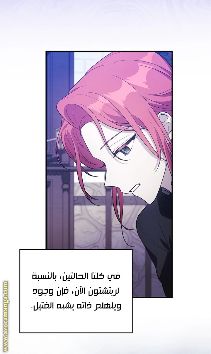 الصفحة 30