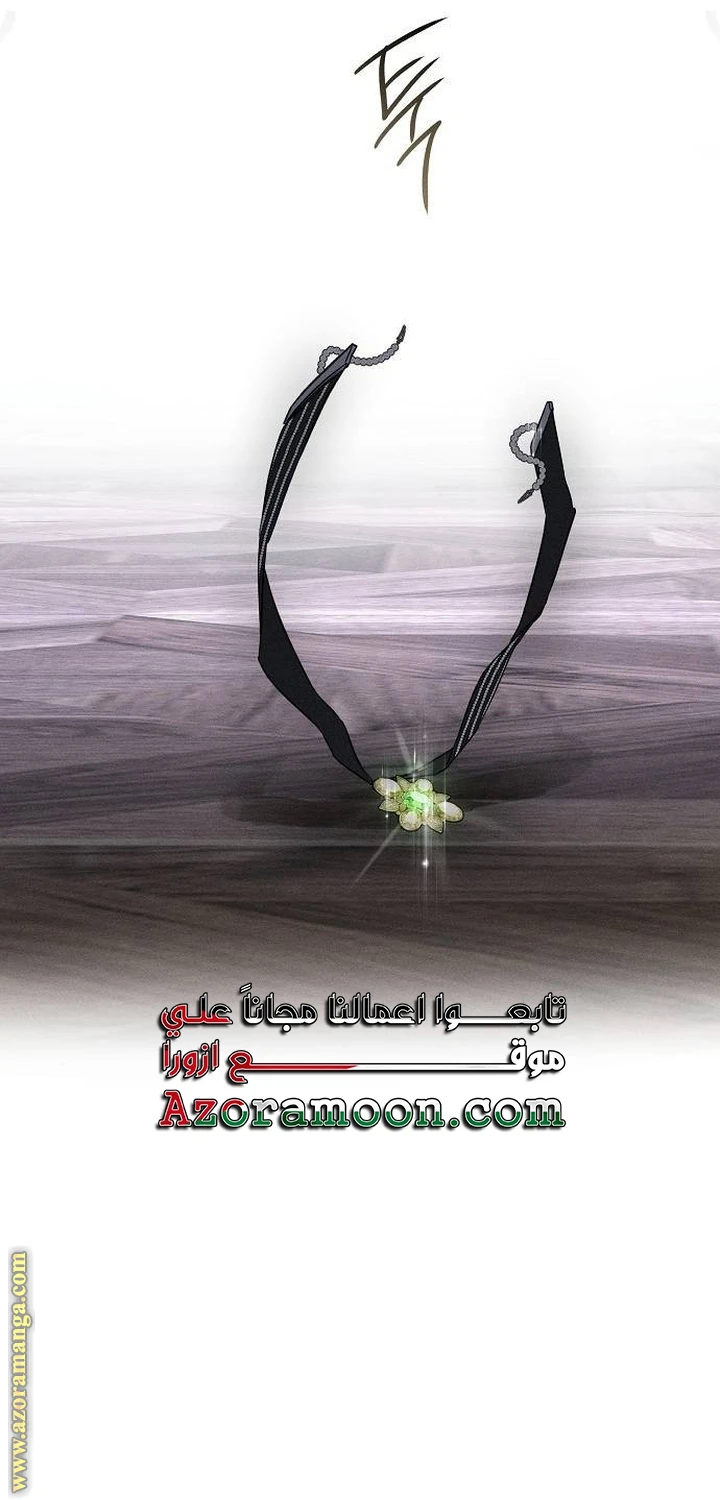 الصفحة 31