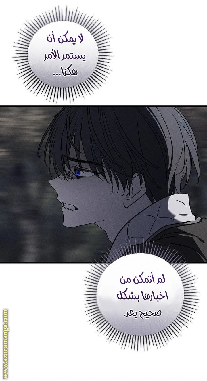 الصفحة 47