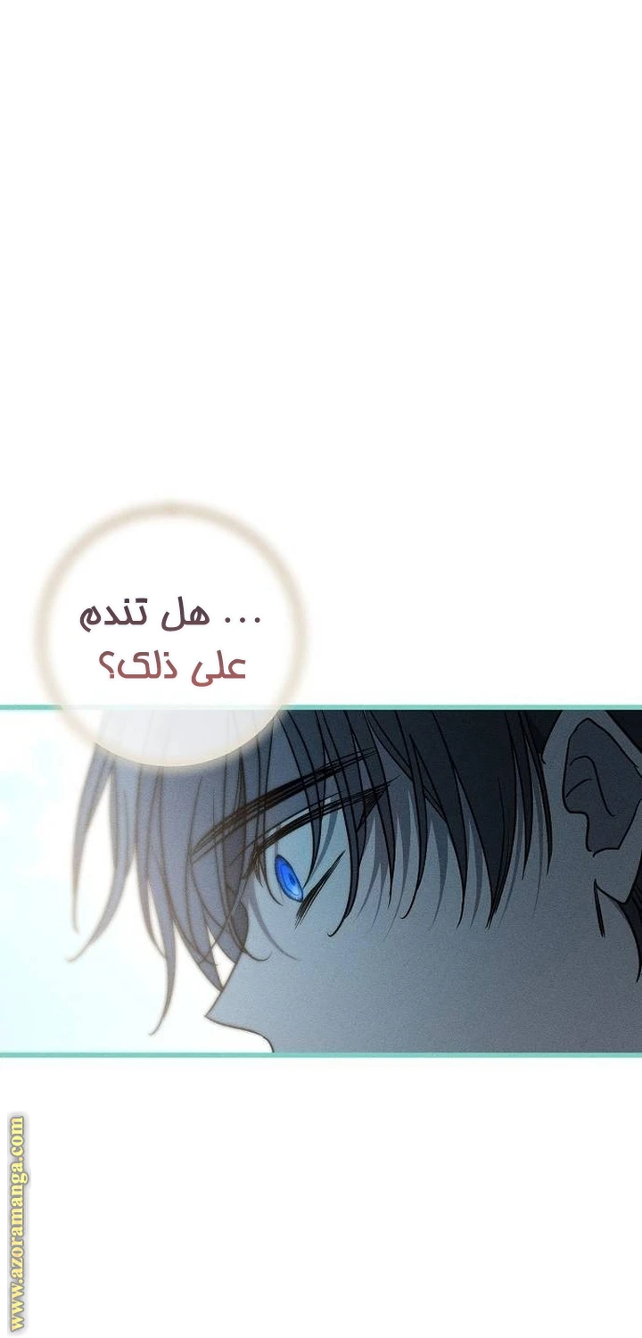 الصفحة 65