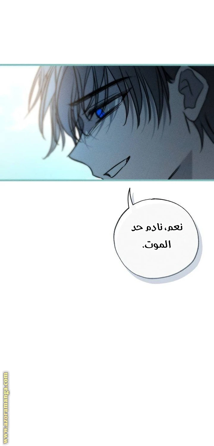 الصفحة 66