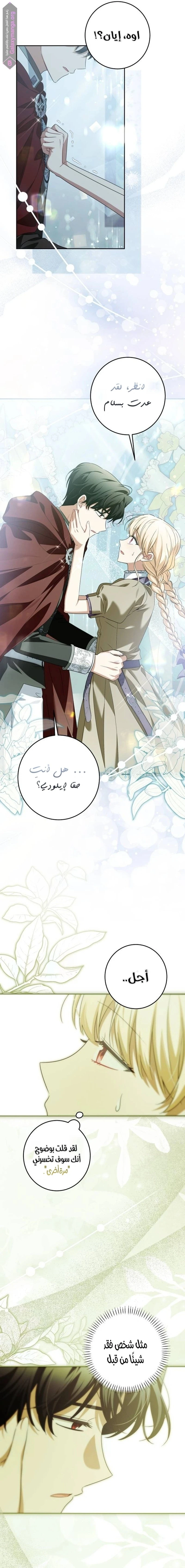 الصفحة 17