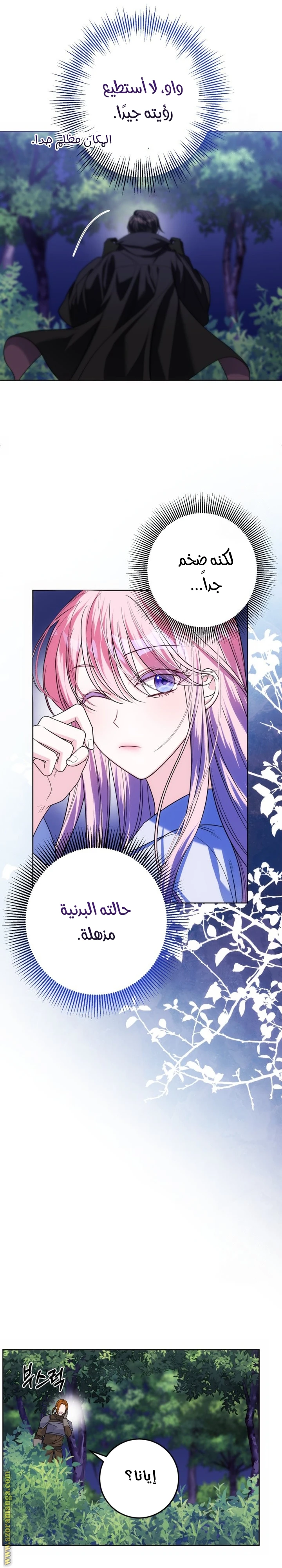 الصفحة 13