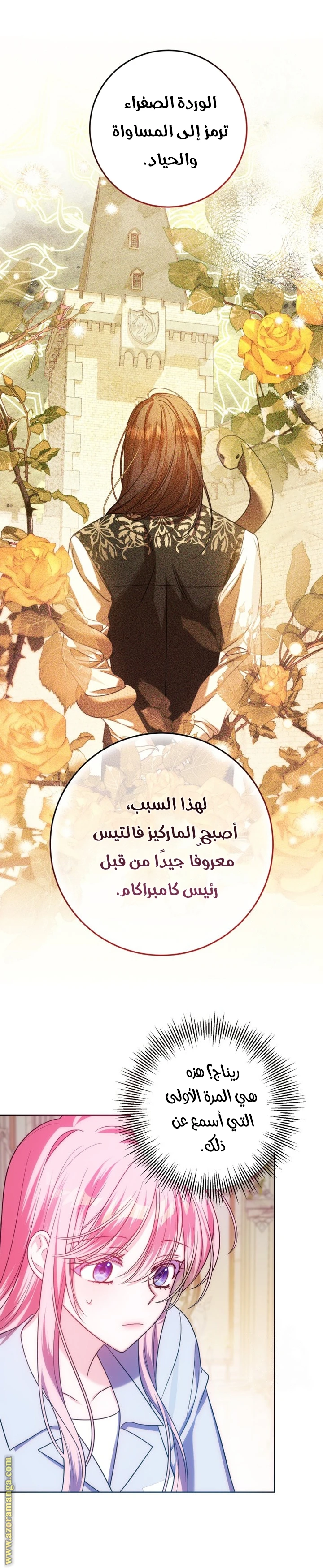 الصفحة 27