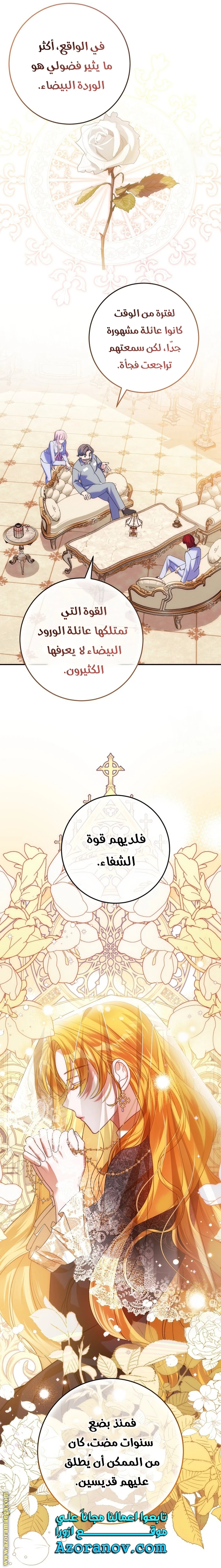 الصفحة 29