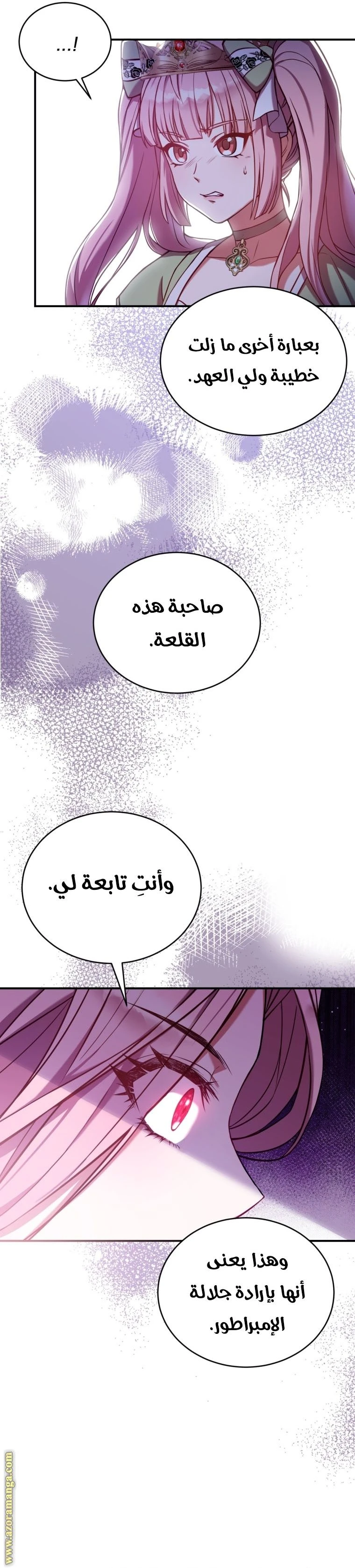 الصفحة 25