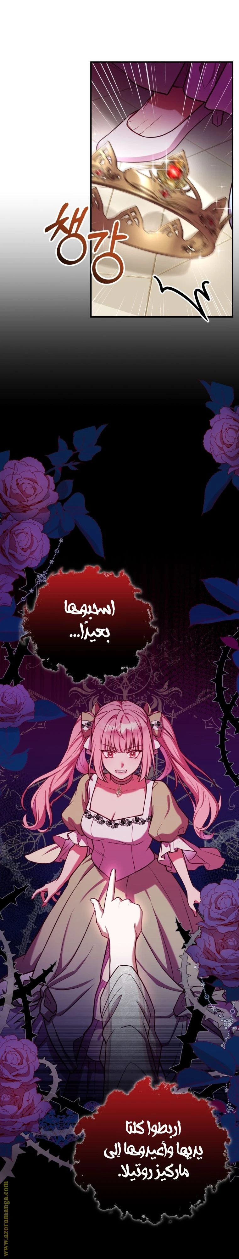 الصفحة 27