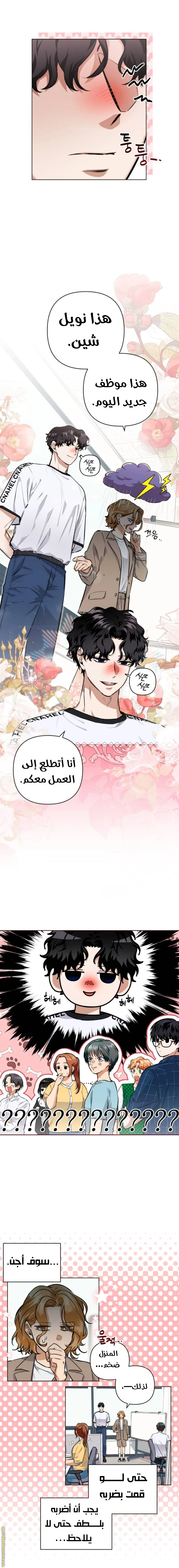 الصفحة 5