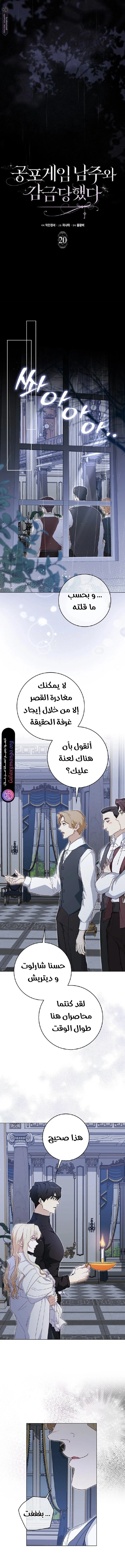 الصفحة 7