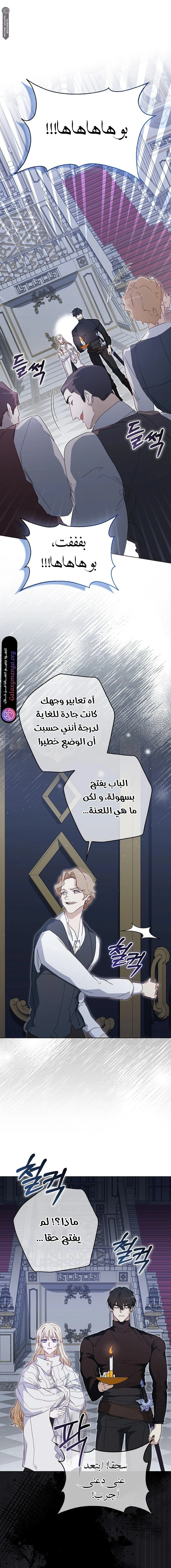 الصفحة 8