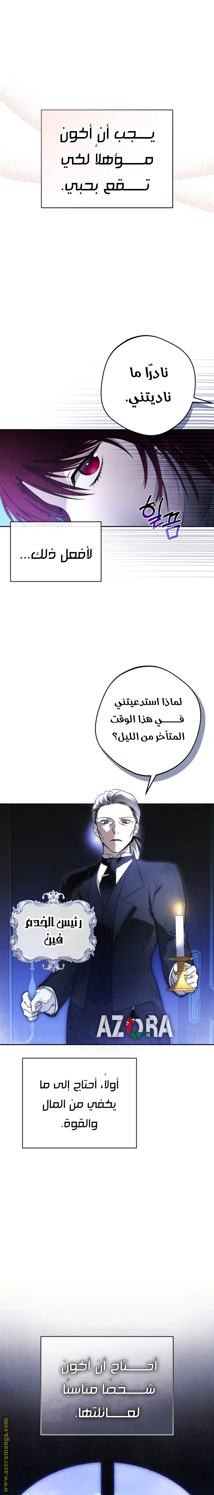 الصفحة 25