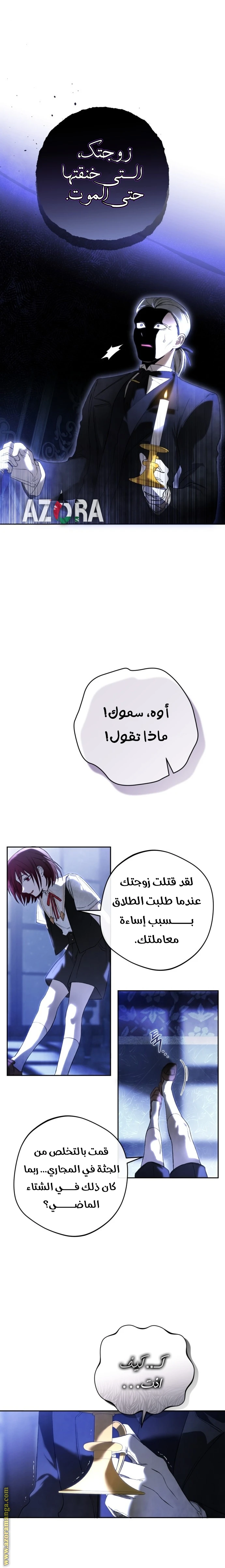 الصفحة 27