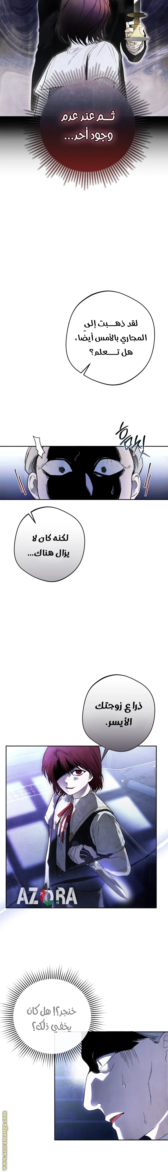 الصفحة 29