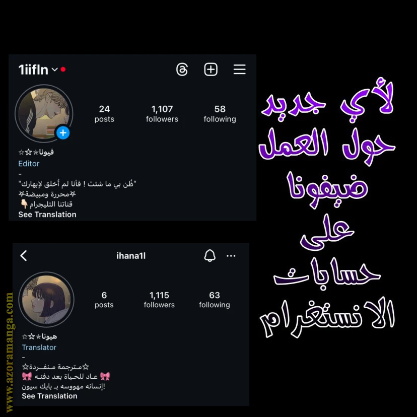 الصفحة 13