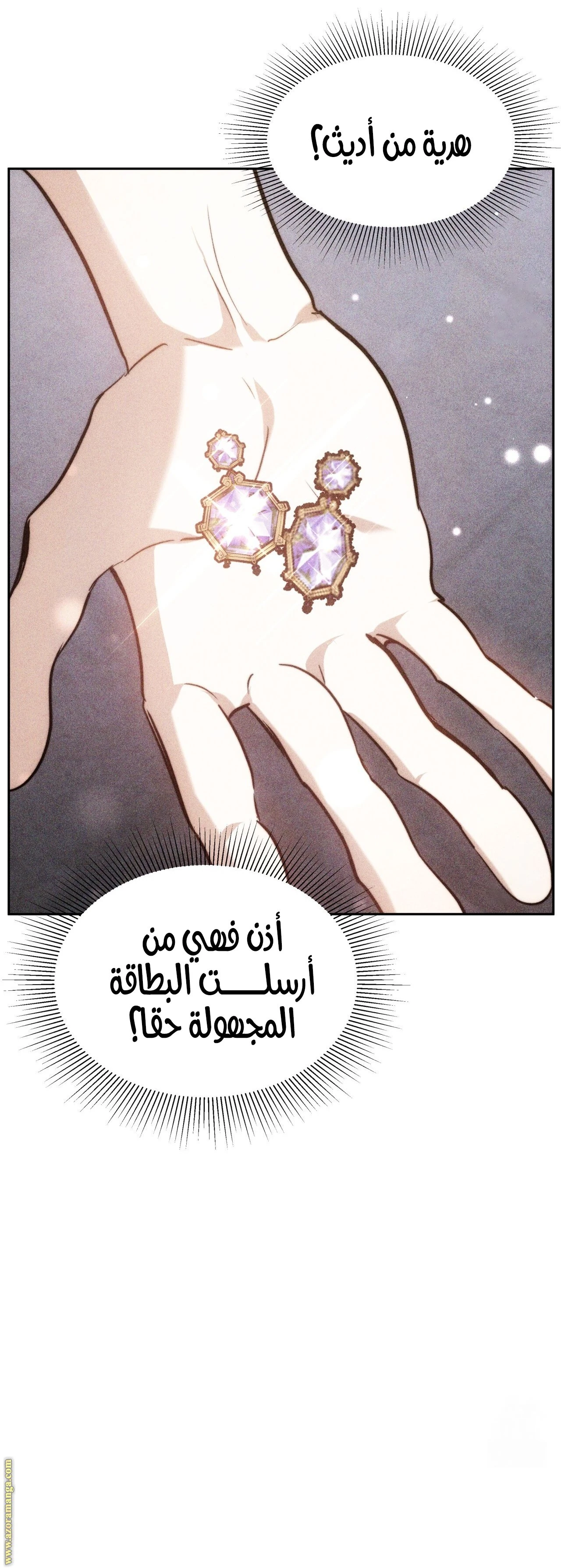 الصفحة 13