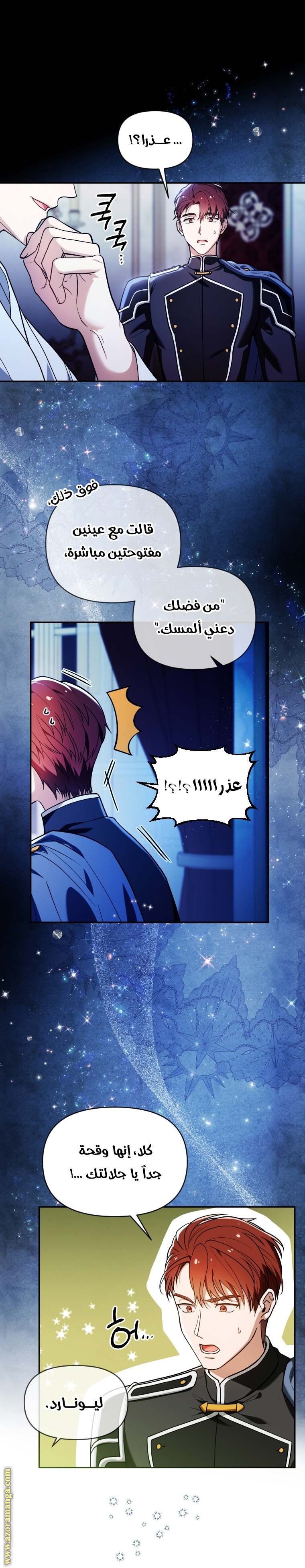 الصفحة 17