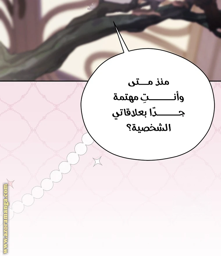 الصفحة 27